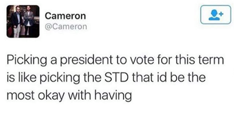 Picking a president to vote for.