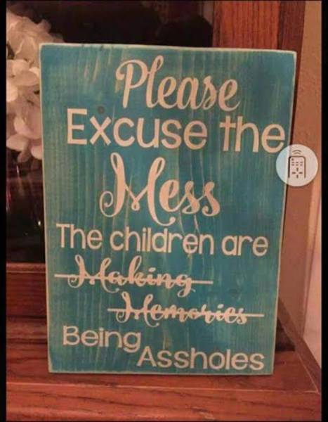 Please excuse the mess the children made.