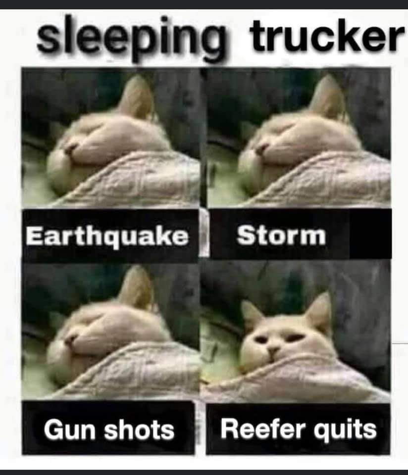 Sleeping trucker.