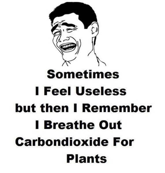 Sometimes I feel useless.