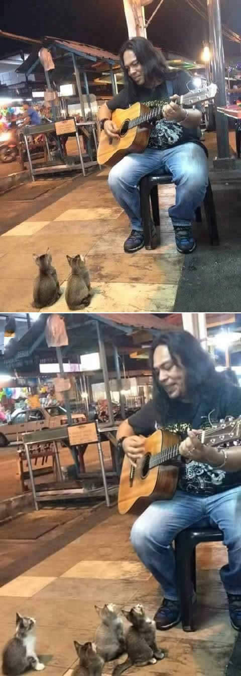 Street musician is a pussy magnet.