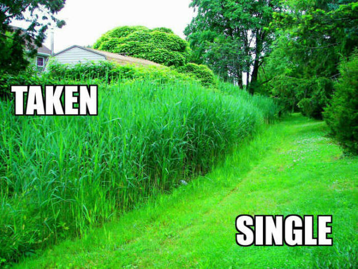 Taken vs. Single