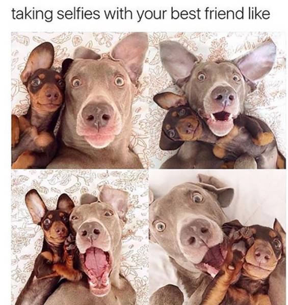 Taking selfies with your best friend.