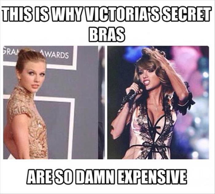 Taylor Swift helps to explain why Victoria's Secret bras are so damn expensive.
