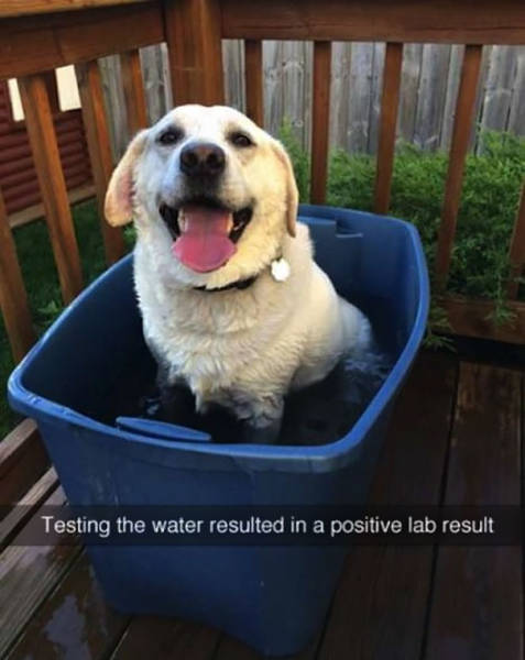 Testing the water resulted in a positive lab result.