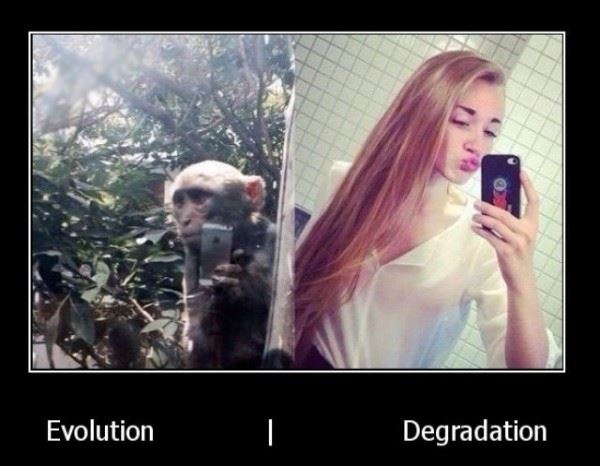 The Difference Between Evolution and Degradation.