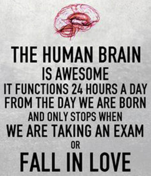 The human brain works great most of the time