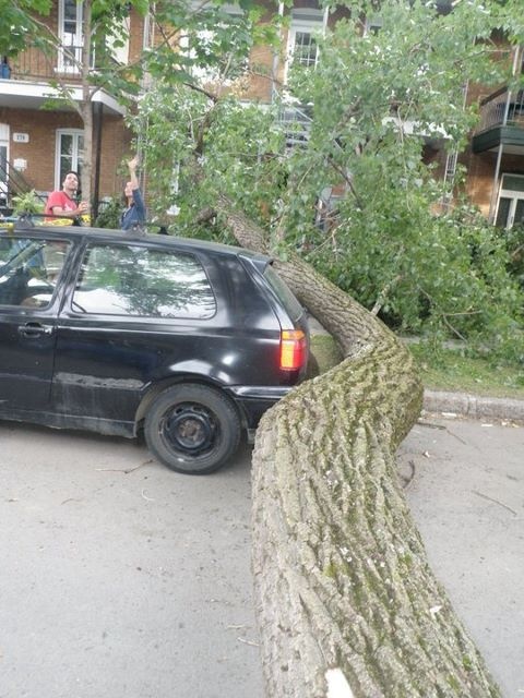 The luckiest person on the planet.