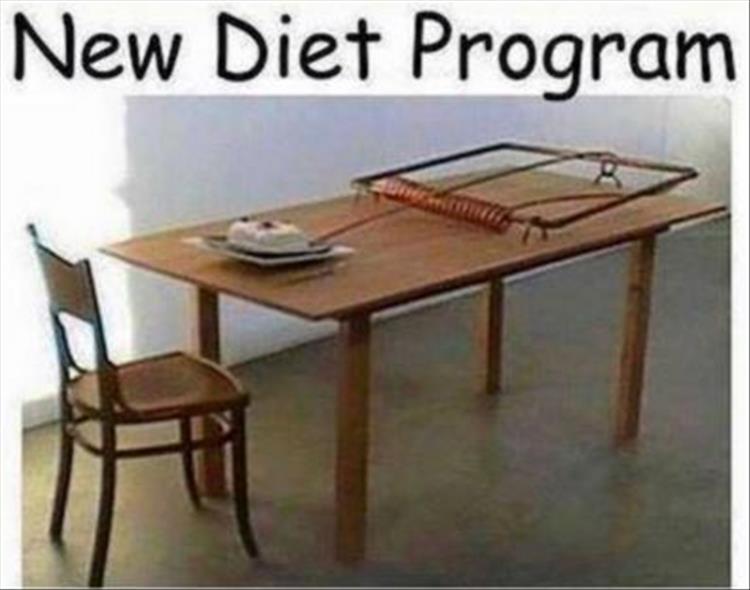 The new mouse trap diet is guaranteed to help you lose weight.