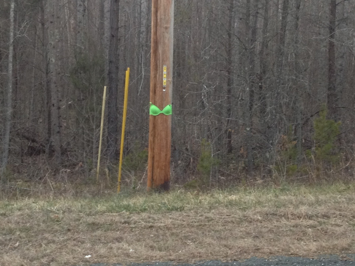 The sexiest post you will ever see.