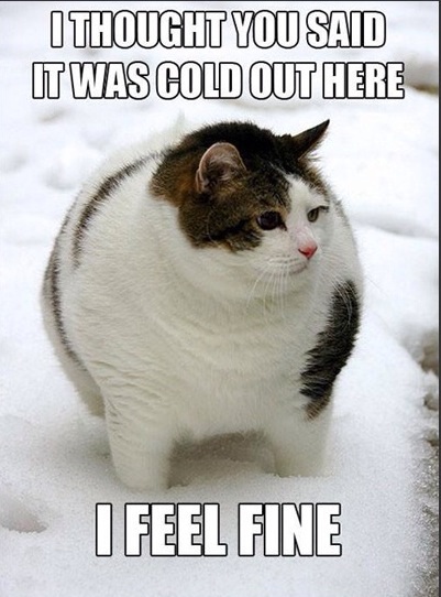 There are some advantages to being fat.