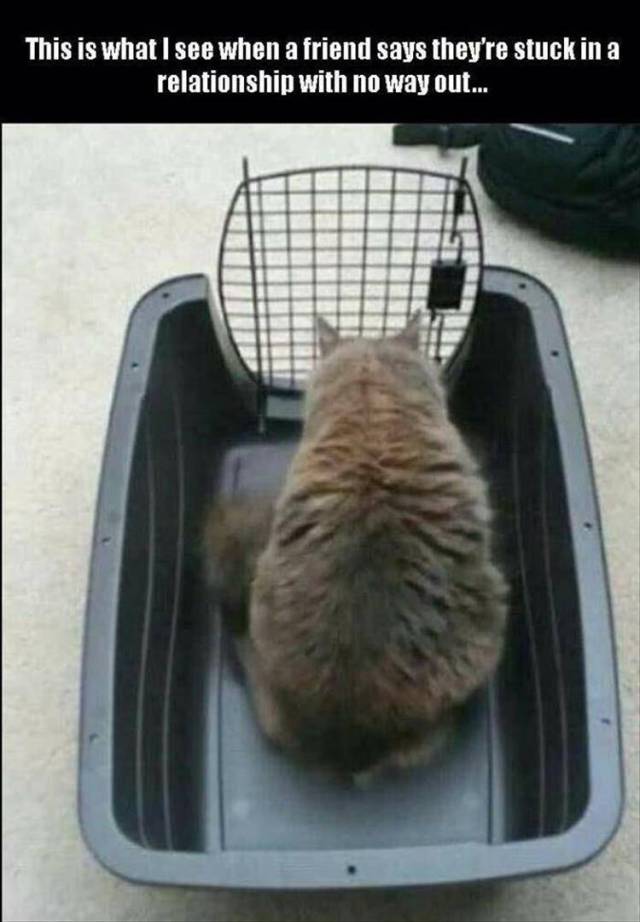 When a friend says they are stuck in a relationship with no way out.