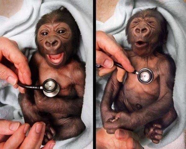 This little guy is too cute