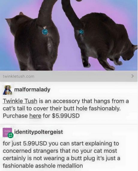 Twinkle Tush is a butthole cover for your cat.