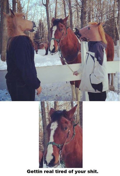Two dudes wearing horse head masks hanging out with a horse.