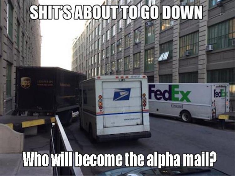 UPS, USPS, and FedEx battle  it out in the streets to find out who will become the alpha mail.