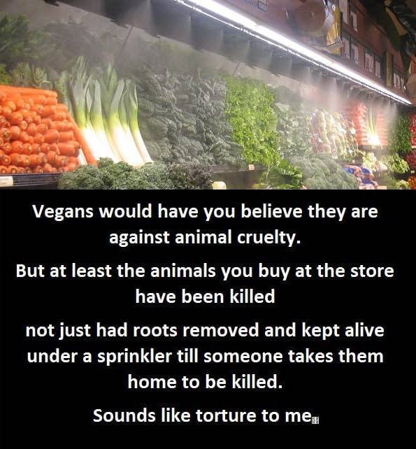 Vegans would have you believe they are against animal cruelty.