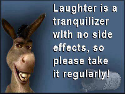 Well said Donkey. Laughter is indeed a tranquilizer and should be taken often.