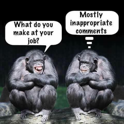 What do you make at your job?