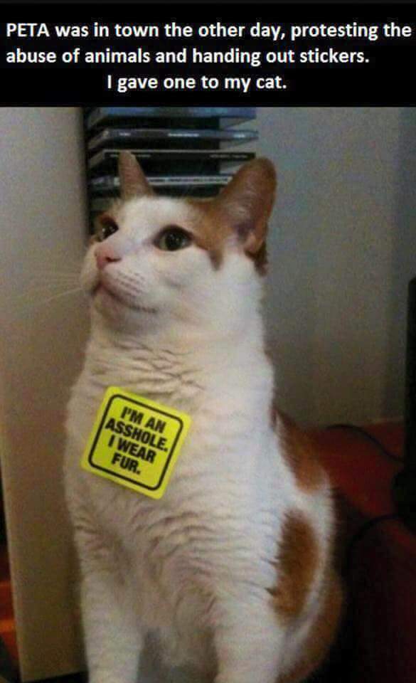 What would PETA think of this asshole?