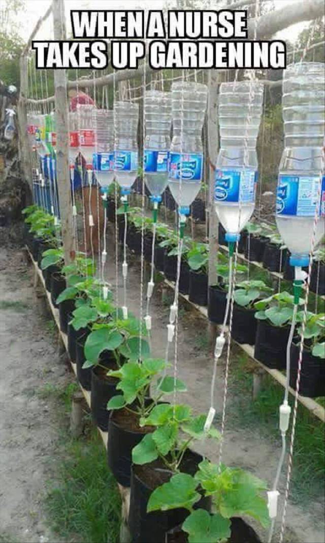 When a nurse takes up gardening.