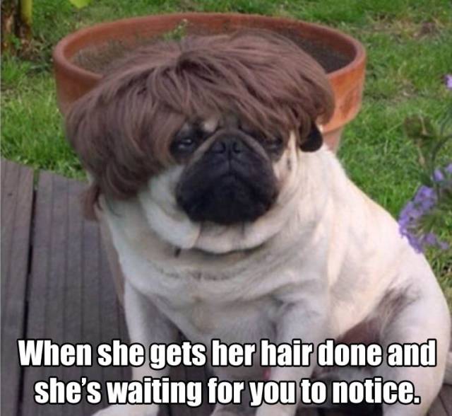 When she gets her hair done and she's waiting for you to notice.