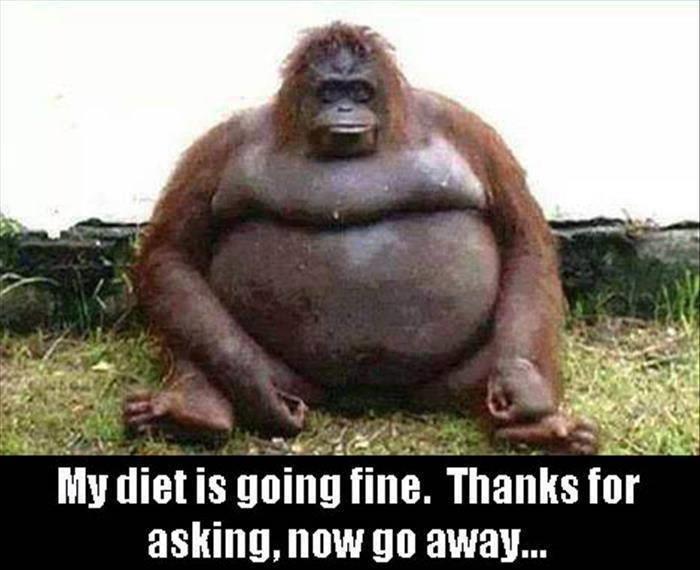 When someone asks you how your diet is going.