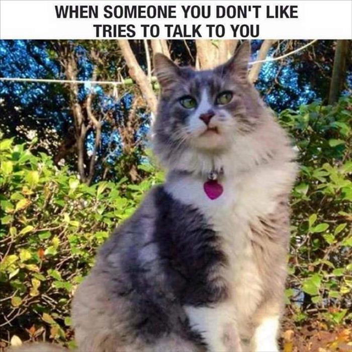 When someone you don't like tries to talk to you.