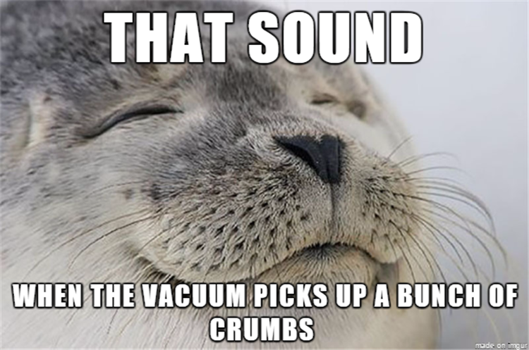 When the vacuum picks up a bunch of crumbs.
