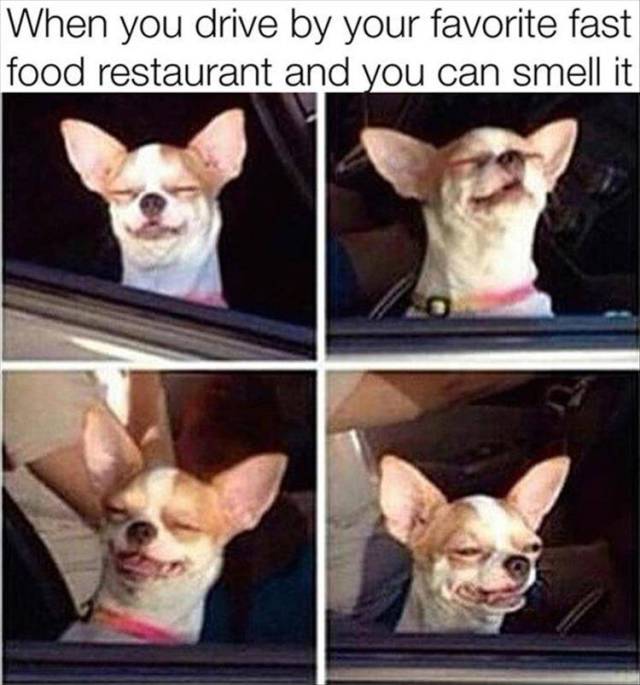 When you drive by your favorite fast food restaurant and you can smell it.