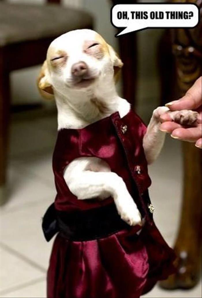 When you get all dressed up and are complimented on how nice you look.