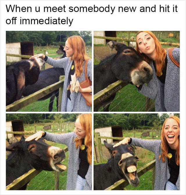 When you meet somebody new and hit it off immediately.