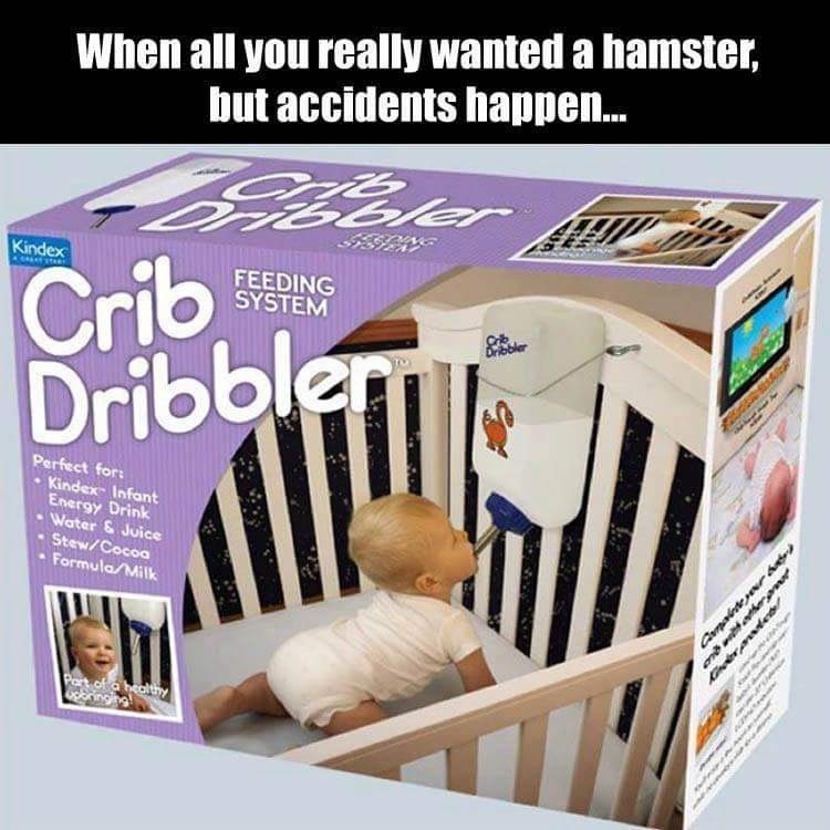 When you really just wanted a hamster, but accidents happen.