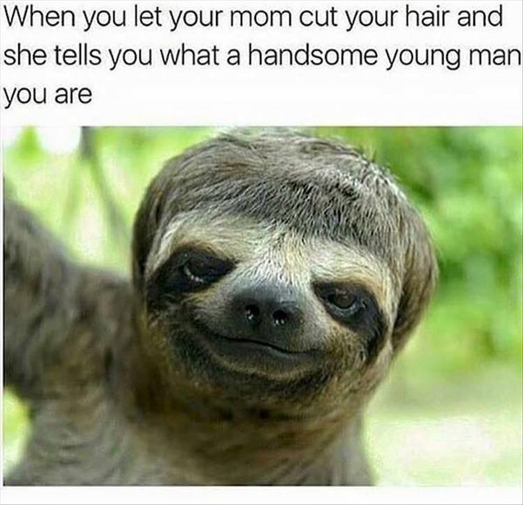 When you let your mom cut your hair and she tells you what a handsome young man you are.