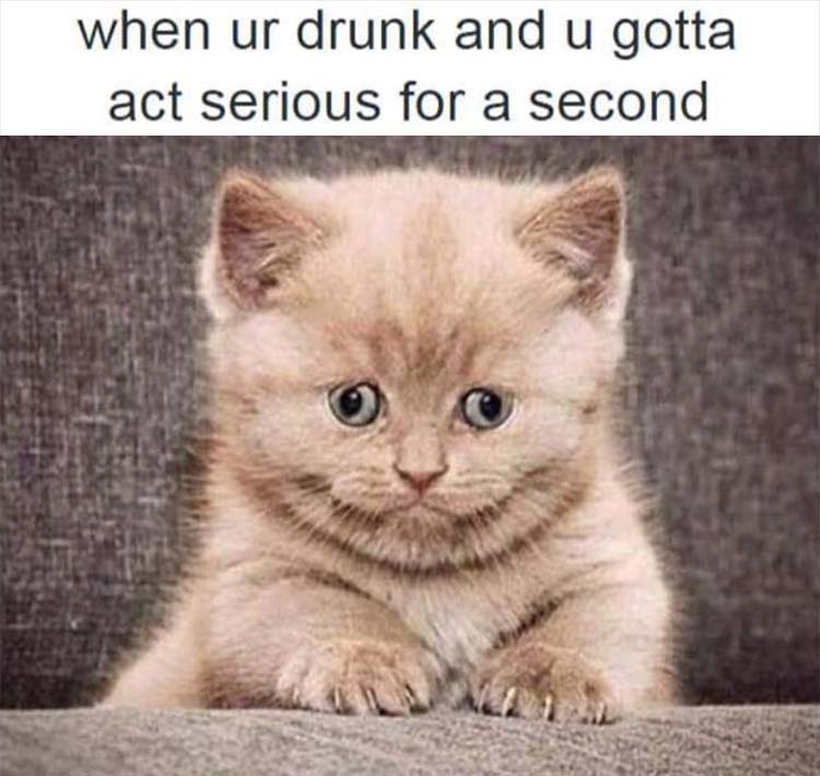When you're drunk and you gotta act serious for a second.