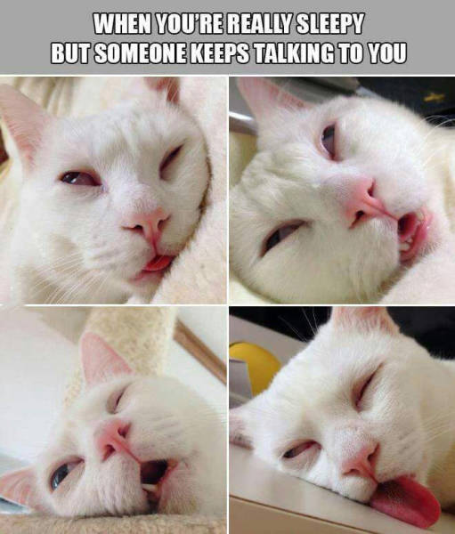 When you're really sleepy but someone keeps talking to you.