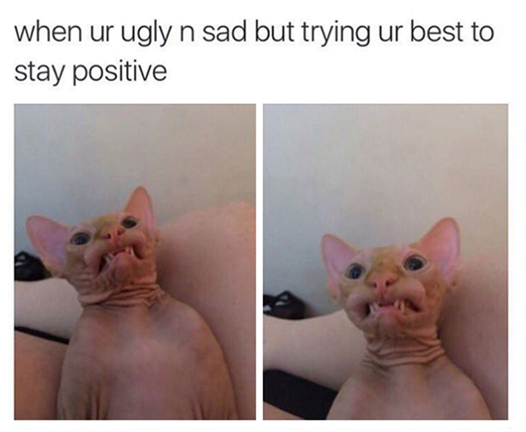 When you're ugly and sad but trying your best to stay positive.