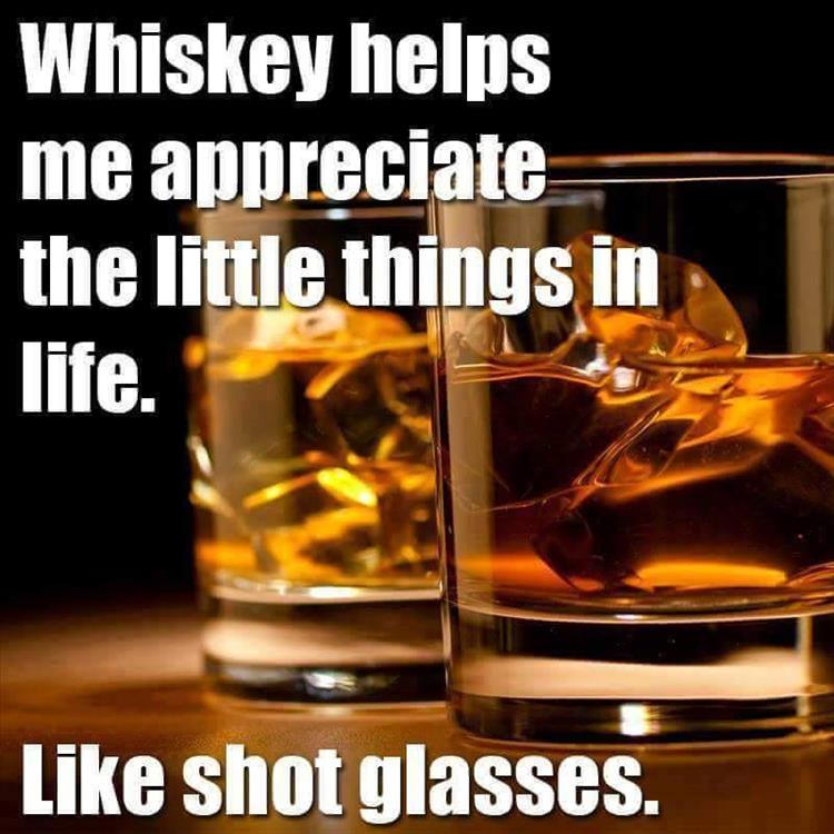 Whiskey helps me appreciate the little things in life.