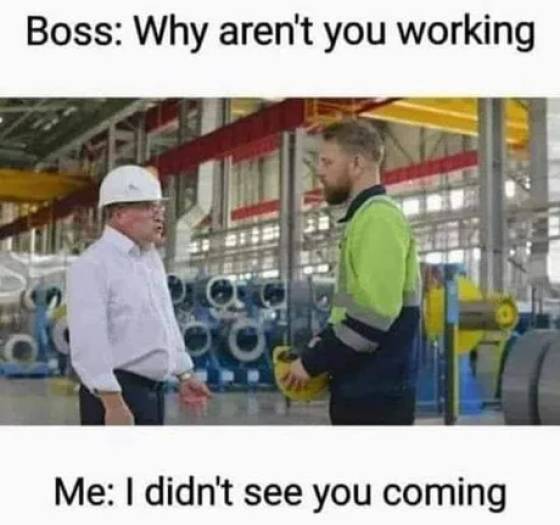 Why aren't you working?