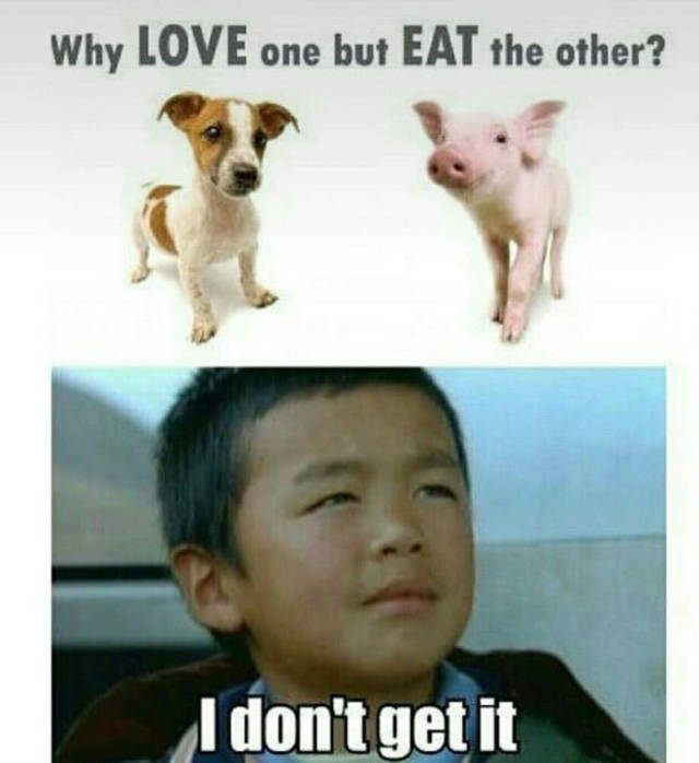 Why love one but eat the other?