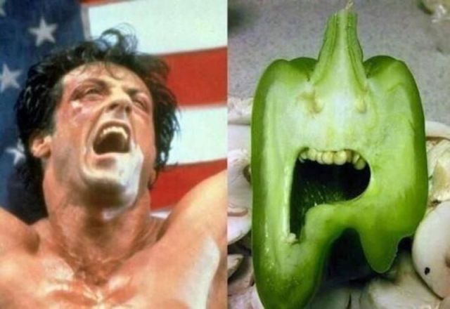 Yo Adrian, I did it! A bell pepper that very much resembles Rocky Balboa.