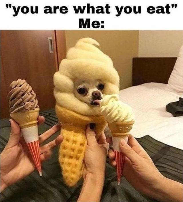 You are what you eat.