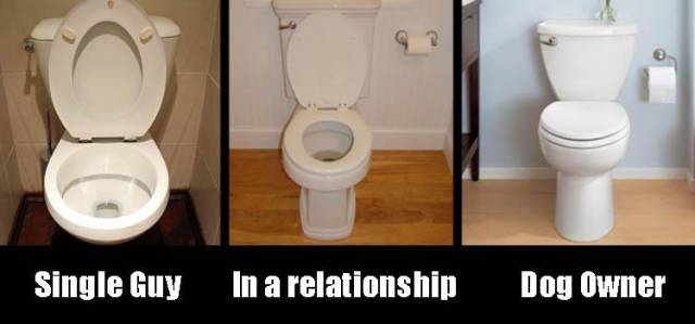 You can tell a lot about someone by looking at their toilet.