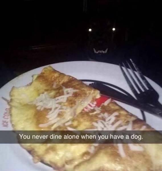 You never dine alone when you have a dog.