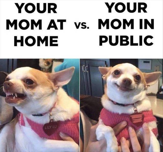 Your mom at home vs. Your mom in public