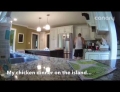 Cat performs an epic leap right into its owners dinner. Winner winner chicken dinner!