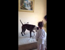 Two girls teach their dog how to jump on a bed.