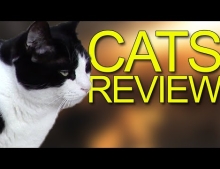 Cats review.