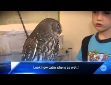 Nelly the owl is my favorite. Look how calm she is.