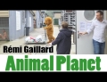 Animals and humans switch places at the veterinary hospital.